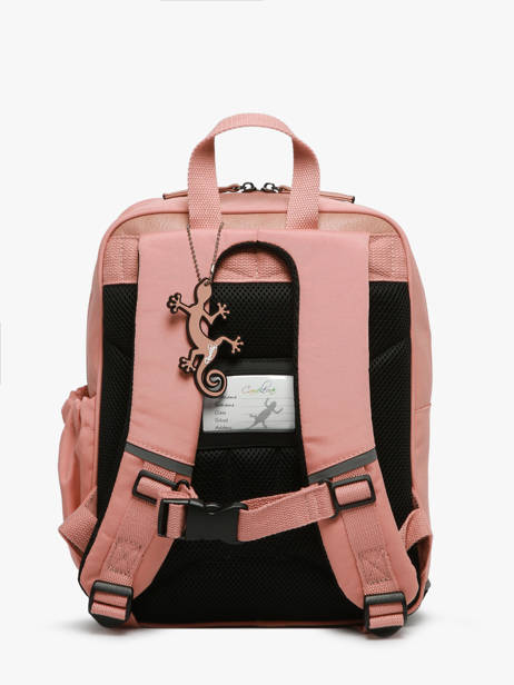 Sac Ã  Dos 2 Compartiments Cameleon Rose vintage fantasy SD33 vue secondaire 4
