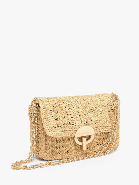 Sac Moyen Moon Raphia Tressage Chevron Vanessa bruno Beige moon raphia 91V40533 vue secondaire 1